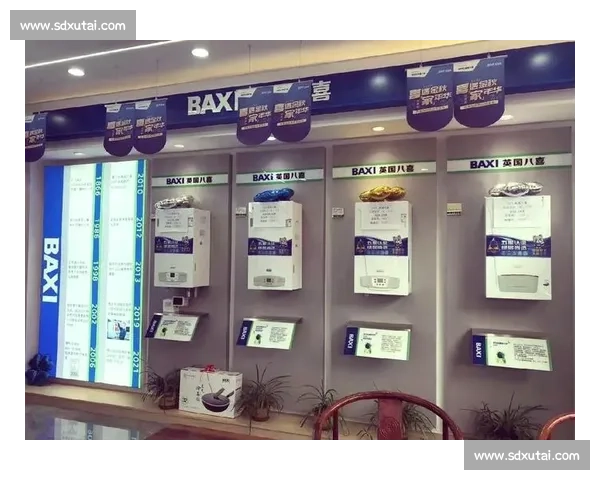Baxi VS燃气壁挂炉性能解析与节能效果全面对比指南 Baxi VS燃气壁挂炉性能解析与节能效果全面对比指南